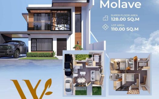 PRE-SELLING ALERT! Own Your Elegant Home Near Tagbilaran for Only ₱30K!