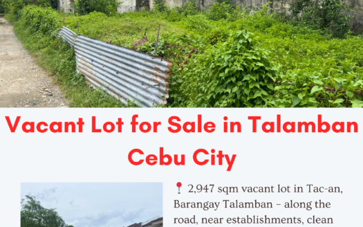 Vacant Lot For Sale in Talamban Cebu City